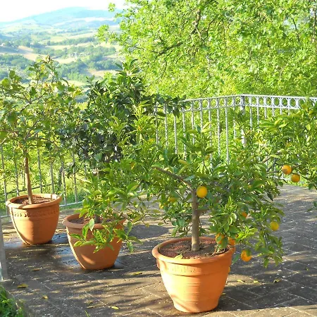 Alce Bed & Breakfast