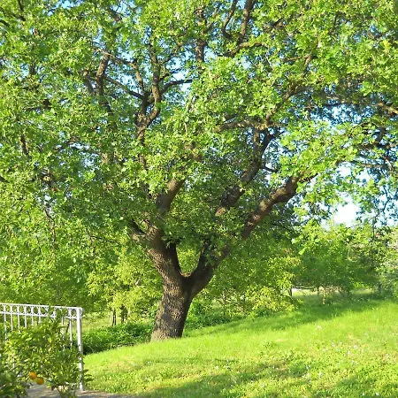 Alce Bed & Breakfast