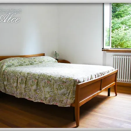 Alce * 산세베리노마르케