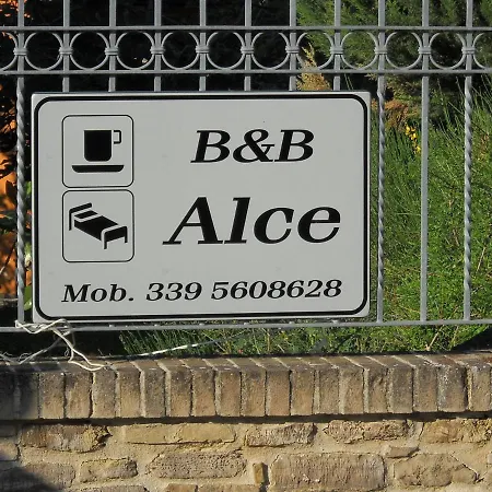 Alce *